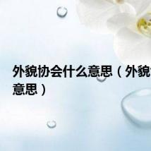 外貌协会什么意思(外貌协会的意思)