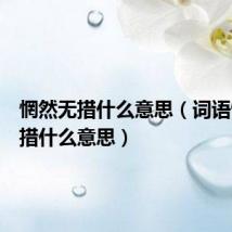 惘然无措什么意思(词语惘然无措什么意思)