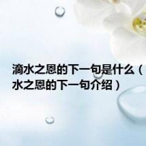 滴水之恩的下一句是什么(关于滴水之恩的下一句介绍)