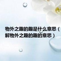 物外之趣的趣是什么意思(怎么理解物外之趣的趣的意思)