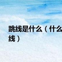 跳线是什么（什么是跳线）