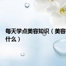 每天学点美容知识(美容知识有什么)