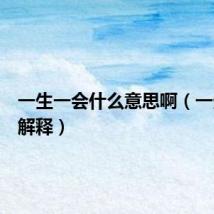 一生一会什么意思啊(一生一会解释)