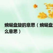 蜿蜒盘旋的意思(蜿蜒盘旋是什么意思)