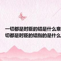 一切都是时臣的错是什么意思（一切都是时臣的错指的是什么）