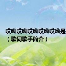 哎呦哎呦哎呦哎呦哎呦是什么歌(歌词歌手简介)