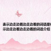 表示边走边看边走边看的词语是什么(表示边走边看边走边看的词语介绍)