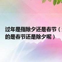过年是指除夕还是春节（过年指的是春节还是除夕呢）