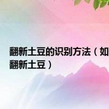翻新土豆的识别方法(如何辨别翻新土豆)
