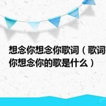 想念你想念你歌词（歌词有想念你想念你的歌是什么）