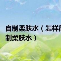 自制柔肤水（怎样简单自制柔肤水）