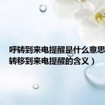 呼转到来电提醒是什么意思(呼叫转移到来电提醒的含义)