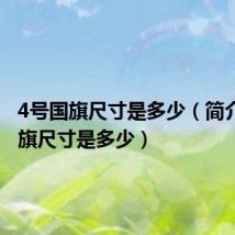 4号国旗尺寸是多少（简介4号国旗尺寸是多少）