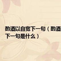 酌酒以自宽下一句(酌酒以自宽下一句是什么)
