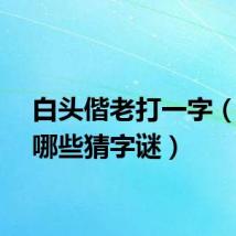 白头偕老打一字（还有哪些猜字谜）