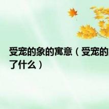 受宠的象的寓意（受宠的象表达了什么）
