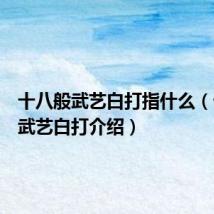 十八般武艺白打指什么(十八般武艺白打介绍)