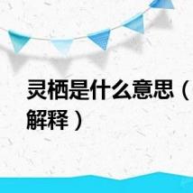 灵栖是什么意思（灵栖解释）