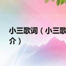 小三歌词(小三歌曲简介)