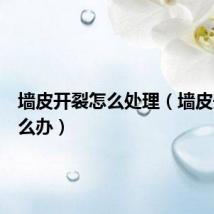 墙皮开裂怎么处理(墙皮开裂怎么办)