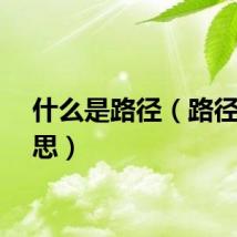 什么是路径（路径的意思）