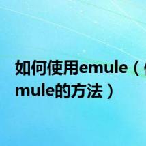 如何使用emule(使用emule的方法)