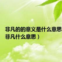 非凡的的意义是什么意思(词语非凡什么意思)