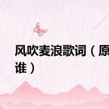 风吹麦浪歌词（原唱是谁）