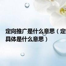 定向推广是什么意思(定向推广具体是什么意思)