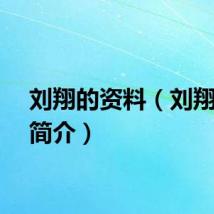 刘翔的资料（刘翔个人简介）
