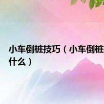 小车倒桩技巧(小车倒桩技巧有什么)