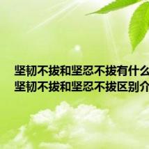 坚韧不拔和坚忍不拔有什么区别(坚韧不拔和坚忍不拔区别介绍)