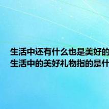生活中还有什么也是美好的礼物(生活中的美好礼物指的是什么)