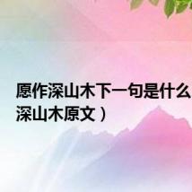 愿作深山木下一句是什么（愿作深山木原文）