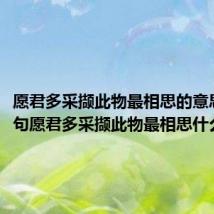 愿君多采撷此物最相思的意思(诗句愿君多采撷此物最相思什么意思)