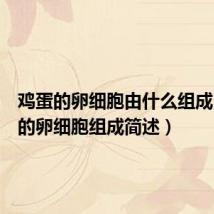 鸡蛋的卵细胞由什么组成(鸡蛋的卵细胞组成简述)