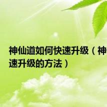 神仙道如何快速升级(神仙道快速升级的方法)