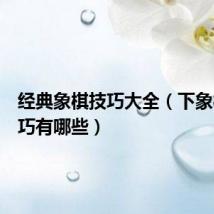 经典象棋技巧大全(下象棋的技巧有哪些)