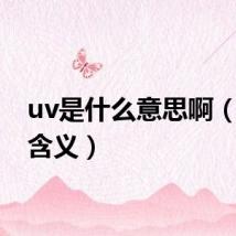 uv是什么意思啊(uv的含义)