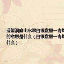 遥望洞庭山水翠白银盘里一青螺这两句诗的意思是什么(白银盘里一青螺的原文是什么)