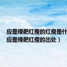 应是绿肥红瘦的红瘦是什么花（应是绿肥红瘦的出处）
