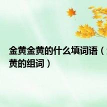 金黄金黄的什么填词语(金黄金黄的组词)