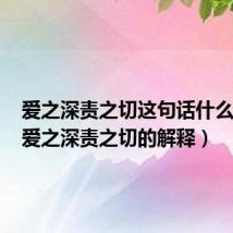爱之深责之切这句话什么意思（爱之深责之切的解释）