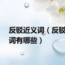 反驳近义词（反驳近义词有哪些）