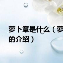 萝卜章是什么（萝卜章的介绍）