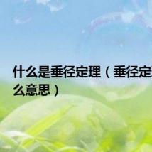 什么是垂径定理(垂径定理是什么意思)