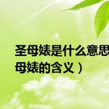 圣母婊是什么意思（圣母婊的含义）