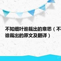 不知细叶谁裁出的意思（不知细叶谁裁出的原文及翻译）