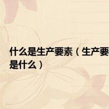 什么是生产要素(生产要素指的是什么)