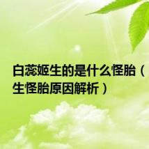 白蕊姬生的是什么怪胎（白蕊姬生怪胎原因解析）